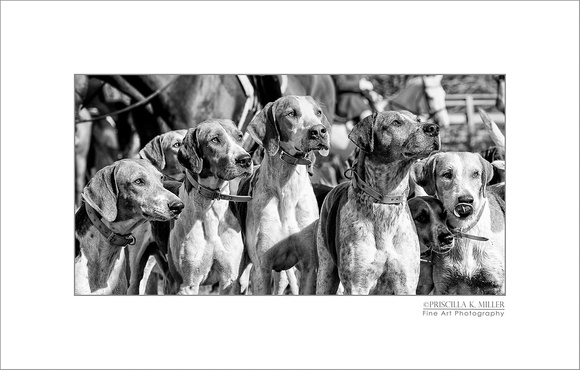 ©matted_cropped_BW_MILLER_2014_11_02_AVH-3602