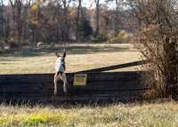 2024-2025 ESSEX FOX HOUNDS